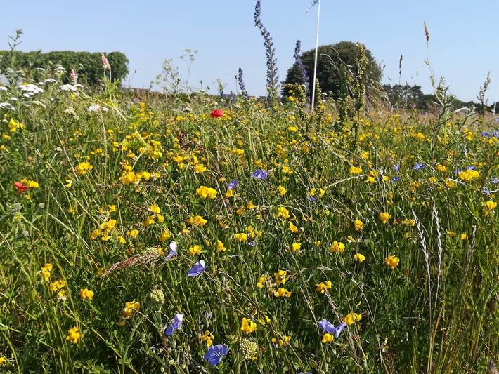 Ferienhaus für 4 Personen, kinderfreundlich in Lolland - 2