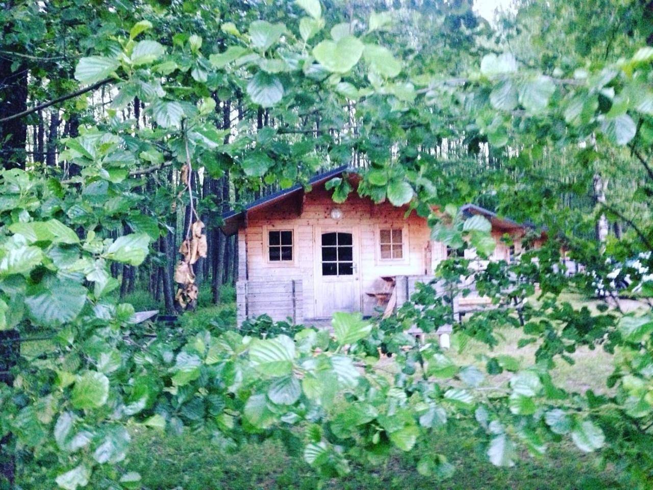 Bukdangas in Talsu novads, Kurland