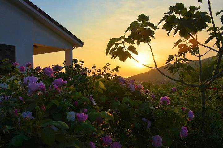 Ferienhaus für 4 Personen, mit Garten und Balkon, mit Haustier