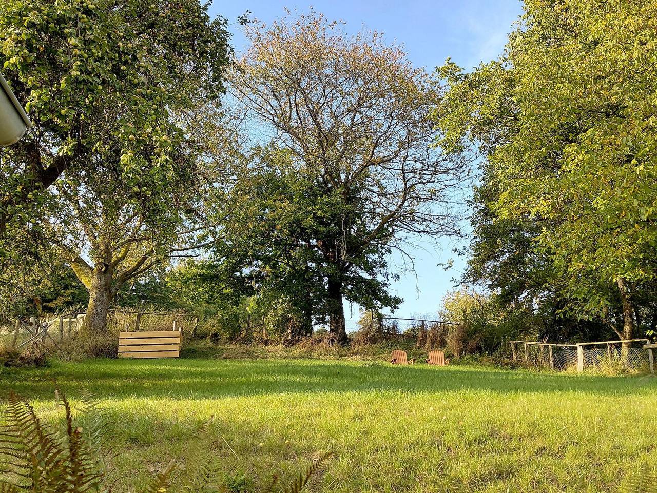Ganze Ferienwohnung, Ferienhaus Froschkönig - Ferienhaus in Ruhe & Natur im Wildenburg in Friesenhagen, Altenkirchen & Umgebung
