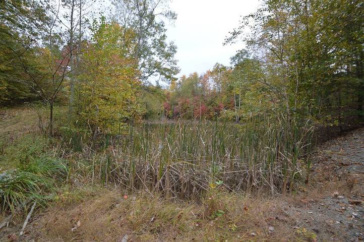 Chalet for 6 people, with terrace, with pets in Ohio