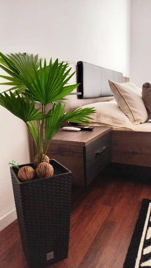 Gîte pour 5 personnes dans Baia Mare