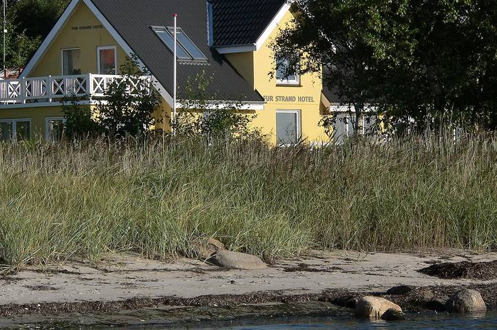 Pet friendly home in Fur with Wifi in Fur, Limfjord in Westjütland