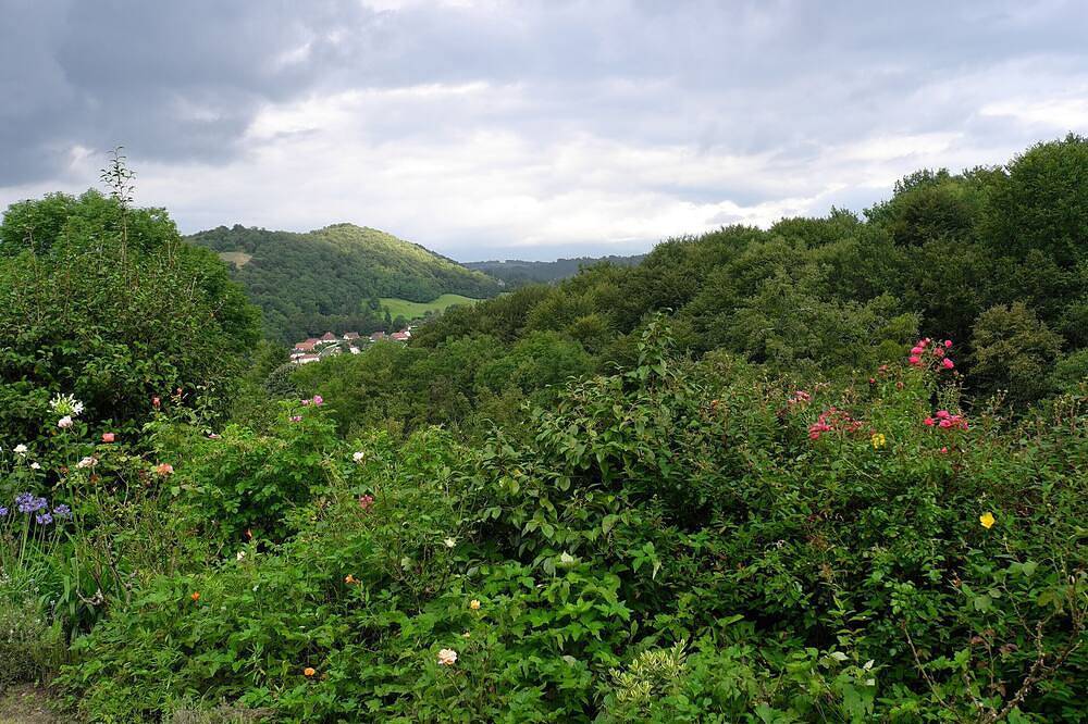 Petite maison en pierre avec vue dominante sur le piémont Pyrénées (2 personnes) in Gan, Béarn