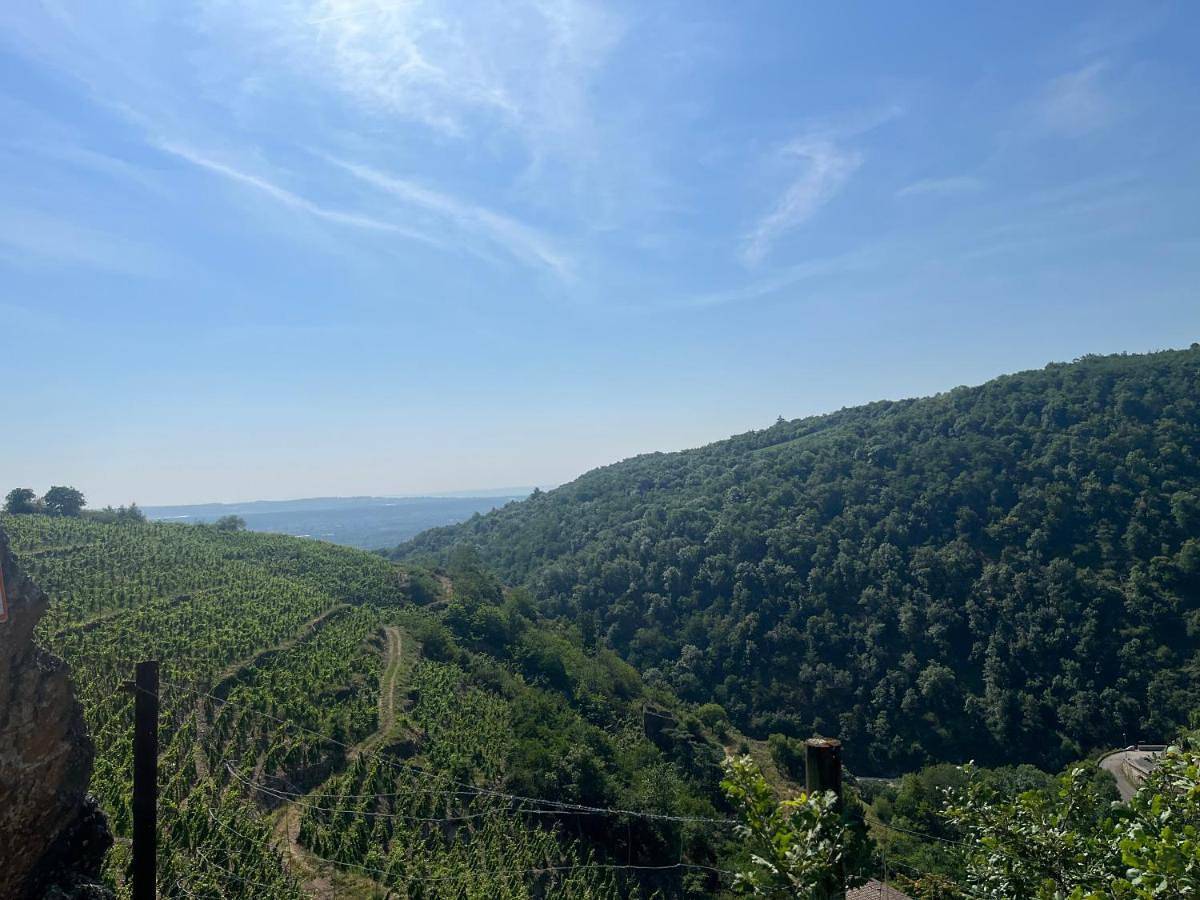 Au Cœur des Vignes in Malleval, Parc Naturel Régional du Pilat