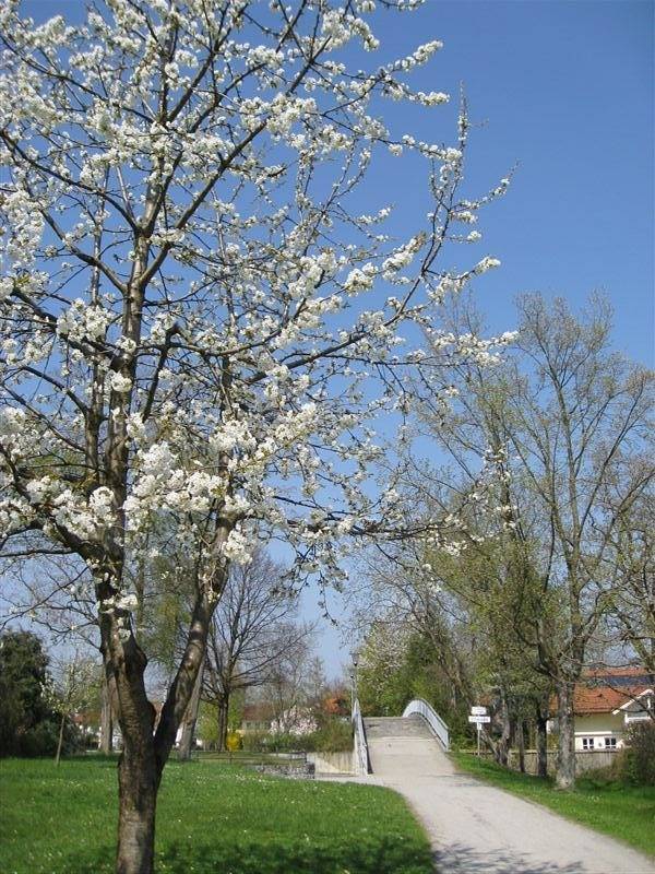 Ferienwohnung für 2 Personen, mit Garten im Berchtesgadener Land - 2