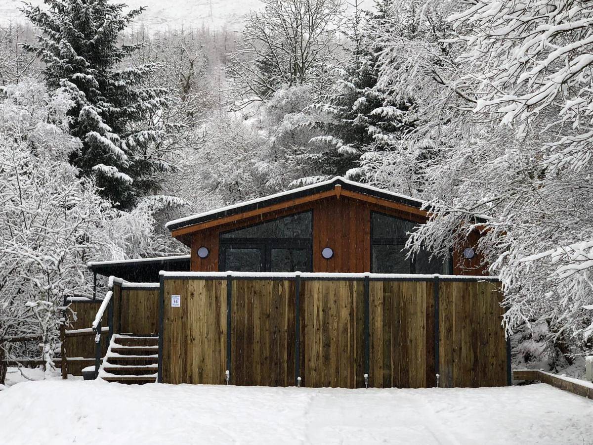 Lodge 1 (Standard) - Sleeps 4, Pet Friendly (No Hot Tub) in Stirling region