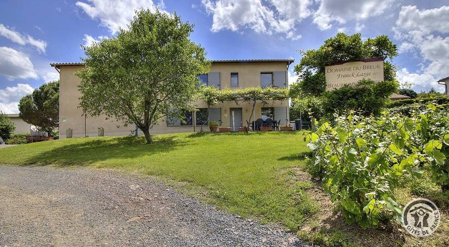 Gîte pour 15 personnes, avec Jardin à Salles-Arbuissonnas-en-Beaujolais