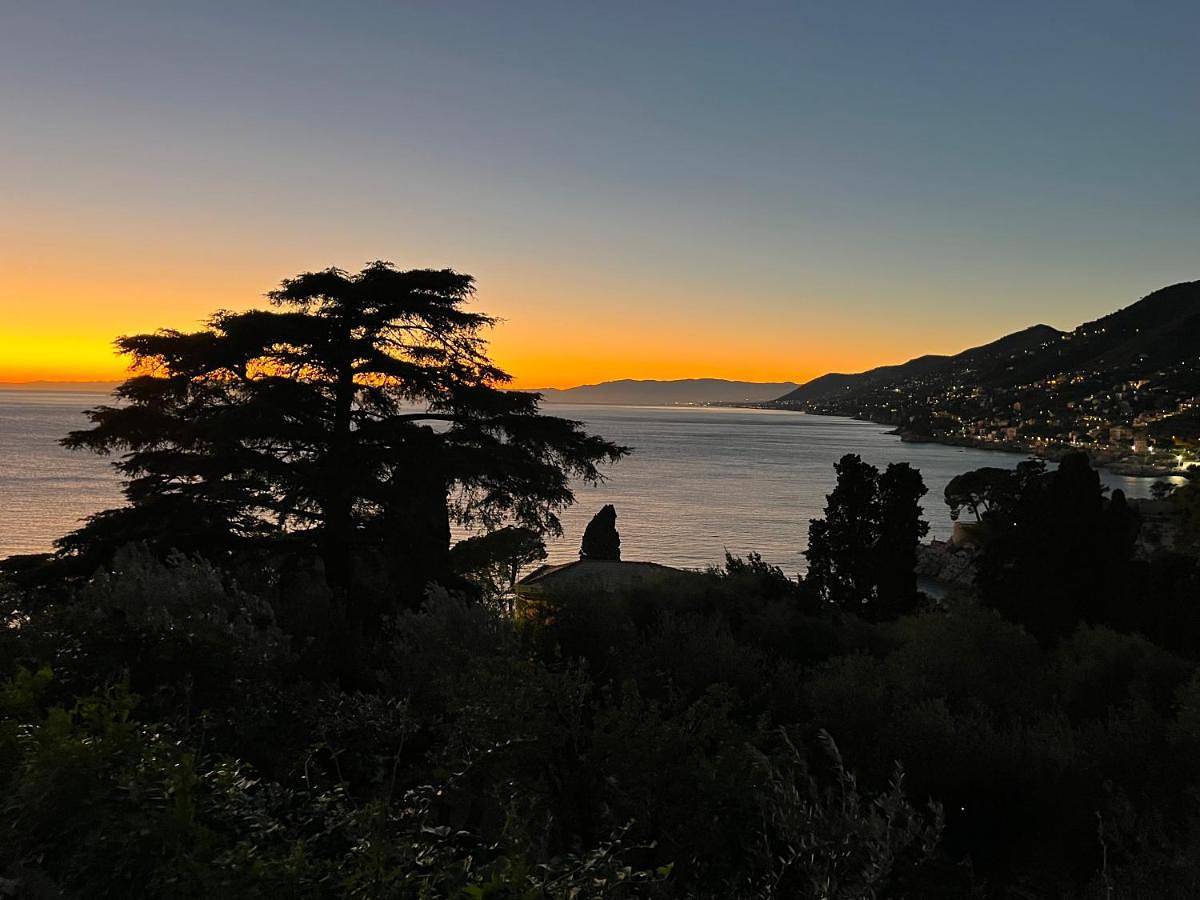 La Conchiglia Bed & Breakfast in Camogli, Riviera di Levante