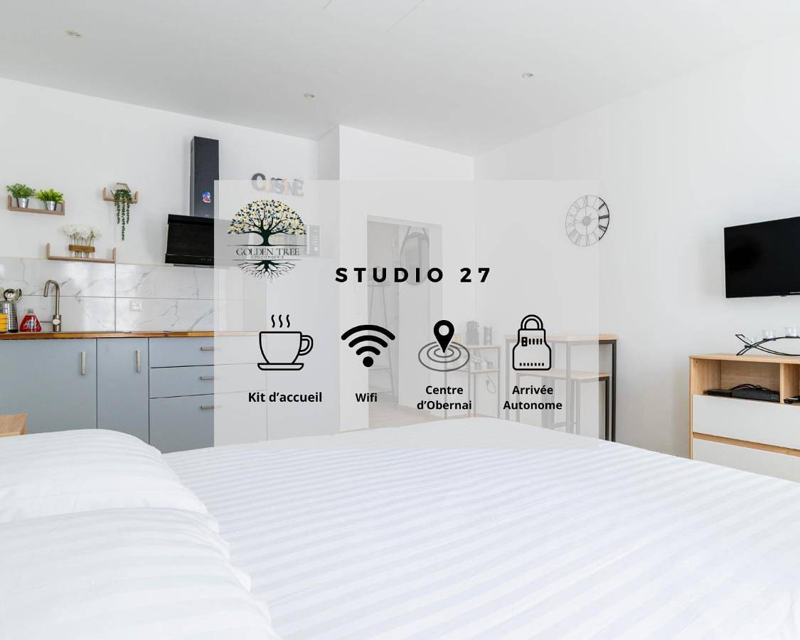 Appartement entier, One-Bedroom Apartment in Obernai, Région de Sélestat-Erstein