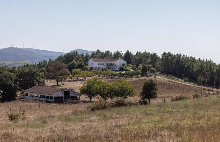 Chalet para 8 personas, con vistas además de jardín y piscina en Coimbra - 3