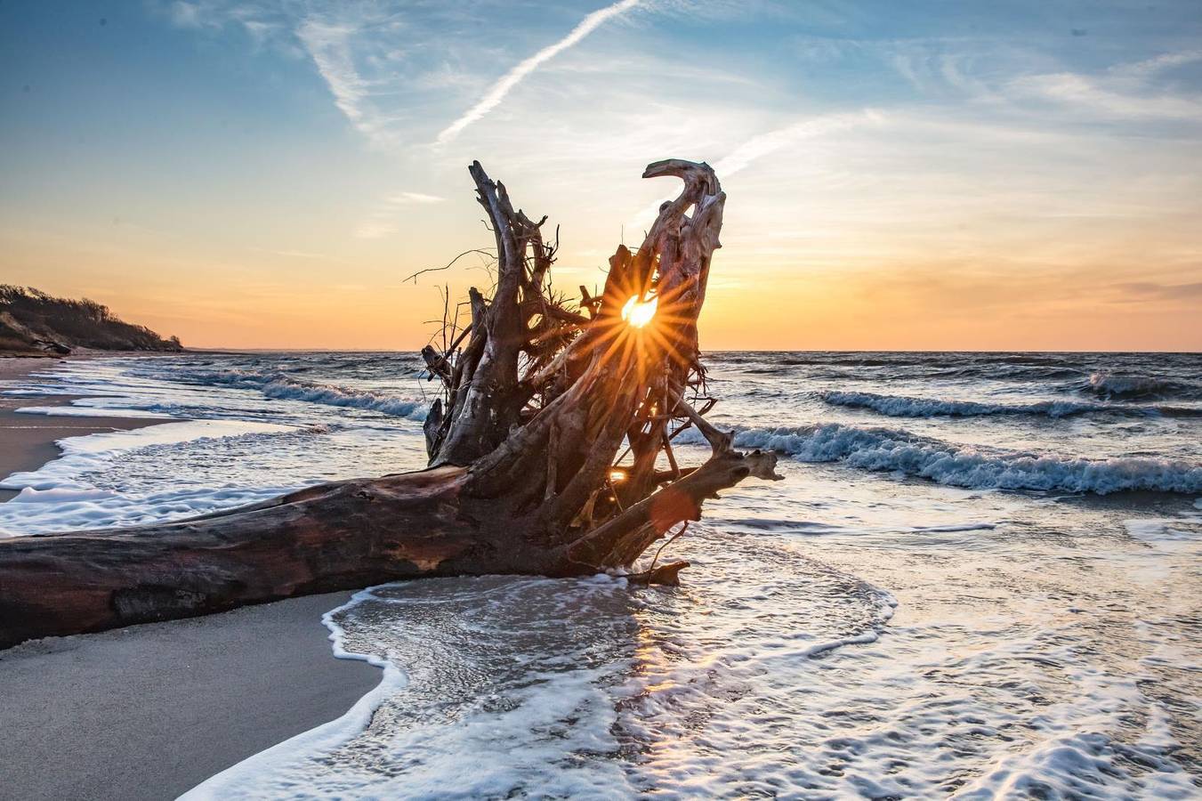 Ganze Wohnung, Fewo "Gh - W13! in Prerow, Fischland - Darß - Zingst