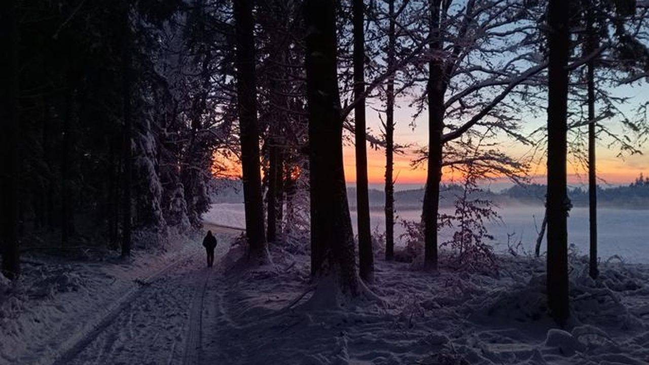 Entire holiday apartment, Ferienwohnung für 4 Personen (110 m²) in Bodnegg in Bodnegg, Region Bodensee-Oberschwaben