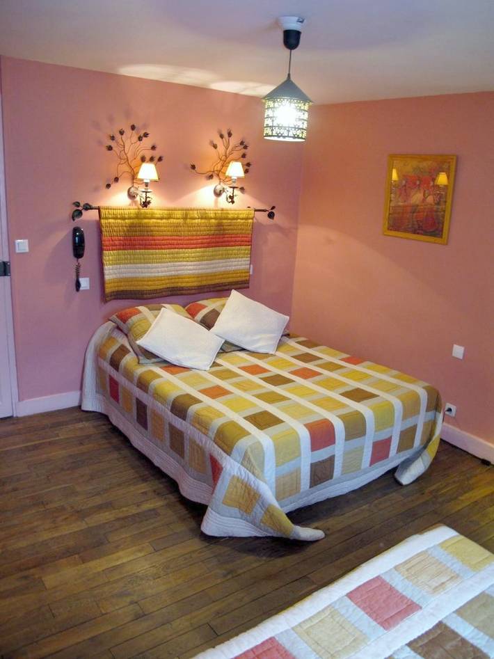 Hôtel pour 3 personnes, animaux acceptés à Neuvy-sur-Barangeon - 2