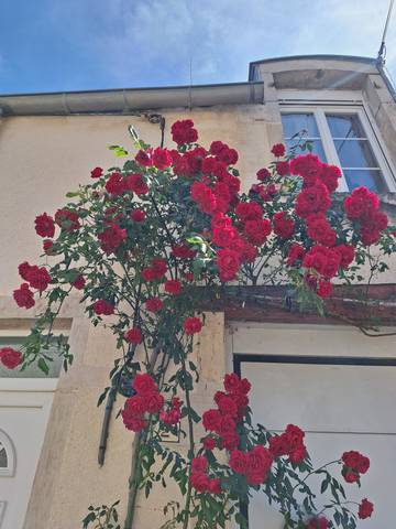 Gîte pour 6 personnes à Chorey-les-Beaune