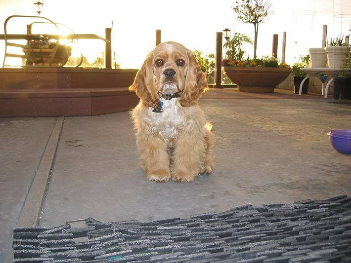 Vacation rental for 4 people, with terrace and yard in Mount Vernon