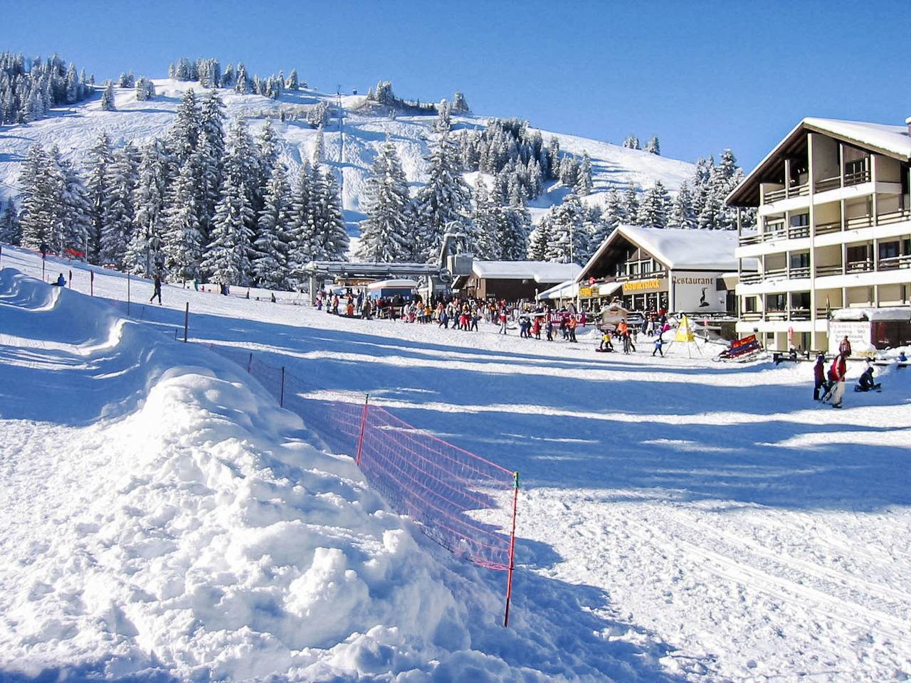 Ganze Wohnung, Steinadler in Giswil, Obwalden