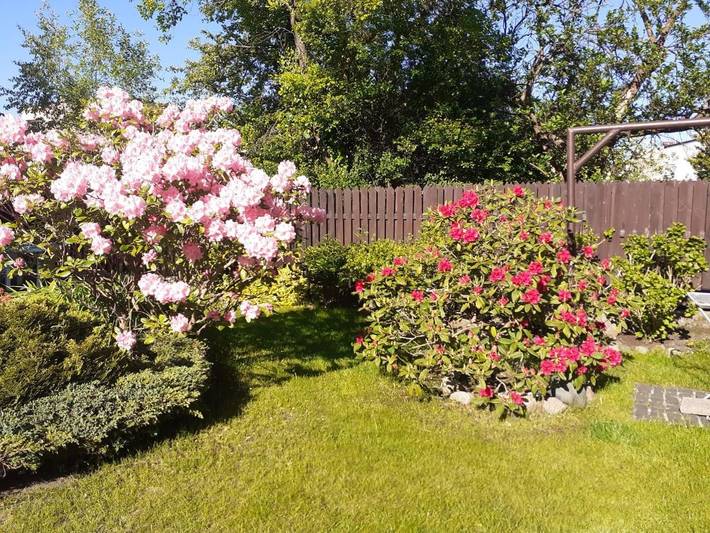 Apartament wakacyjny dla 2 osób, z ogród i taras w Ustka