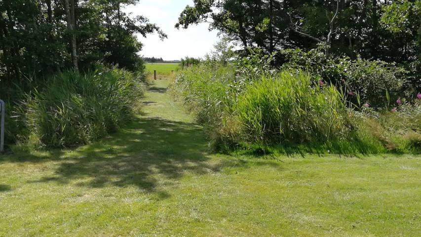 Ferienhaus für 7 Personen in Bork Havn - 3