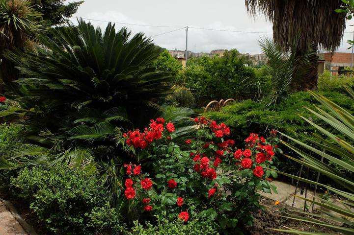 Appartement entier, Appartement « A Casa di Anna » avec jardin privé, Wi-Fi et climatisation in Caltanissetta, Province de Caltanissetta