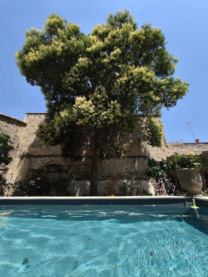 Chambre d’hôte pour 2 personnes, avec jardin ainsi que terrasse et piscine à Aigues-Mortes - 2