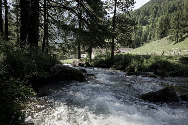 Hotel Crusch Alba S-charl - Doppelzimmer mit Dusche/Wc, Typ B in S-charl, Scuol