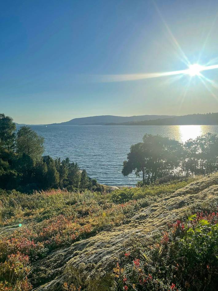 Ferienhaus für 4 Personen, mit Terrasse und Garten, kinderfreundlich am Fjord (Norwegen) - 4