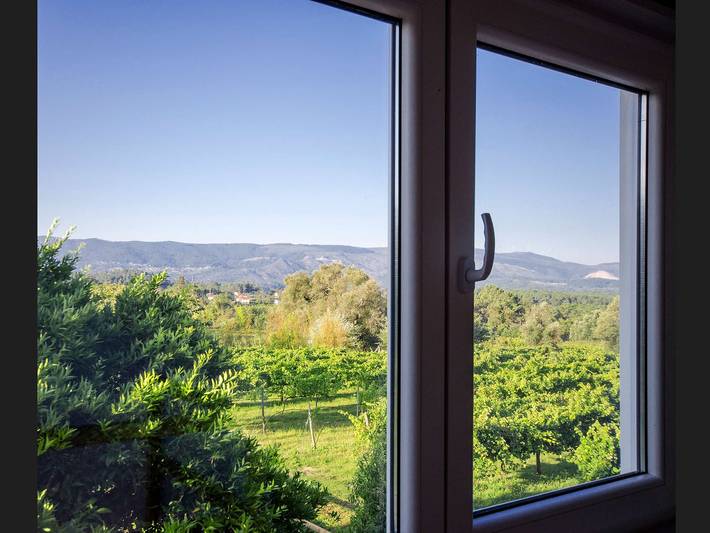 Quinta da Teimosa in Viana do Castelo Distrikt