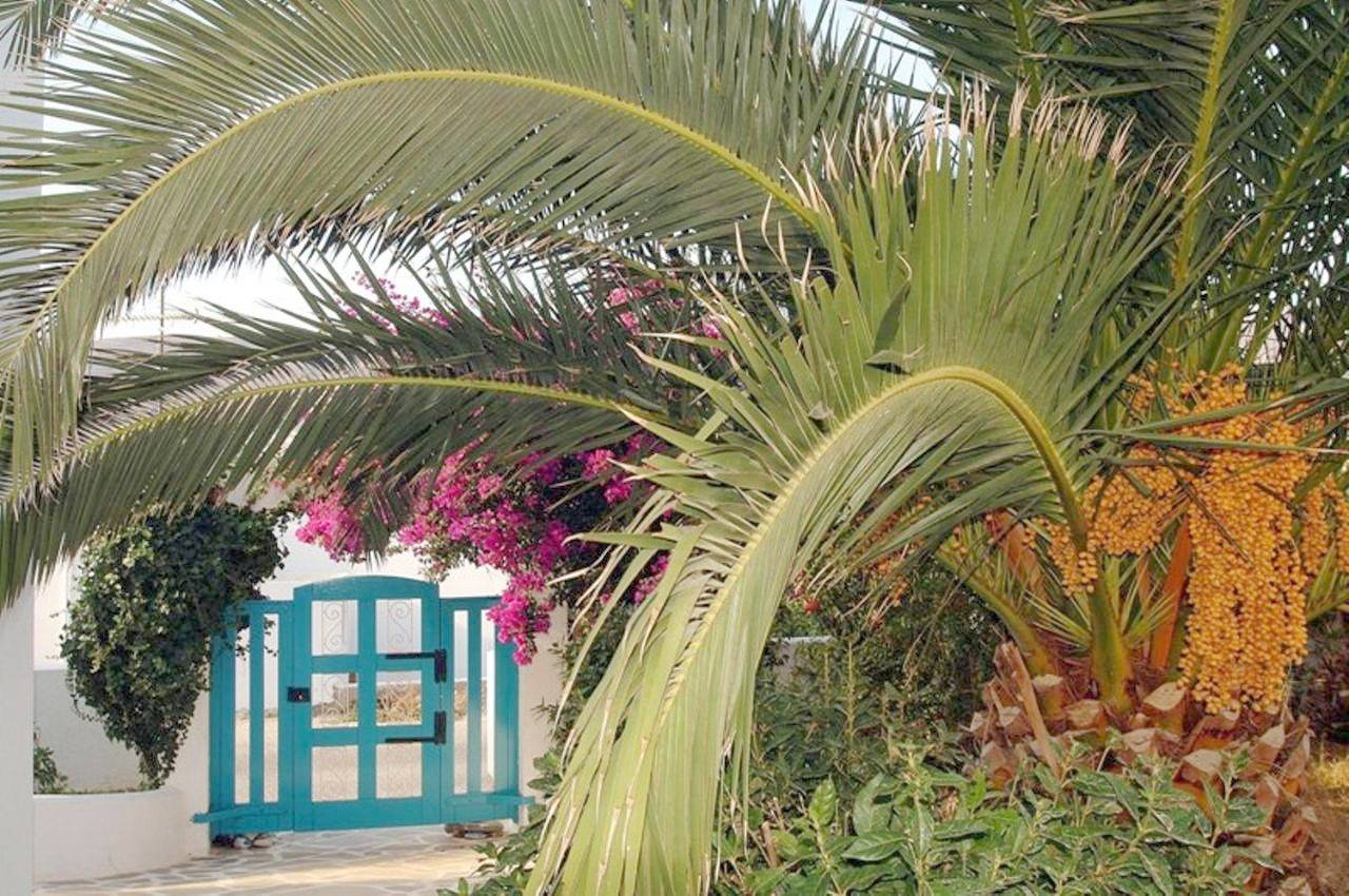 Gryspo's Hotel in Egíali, Amorgos