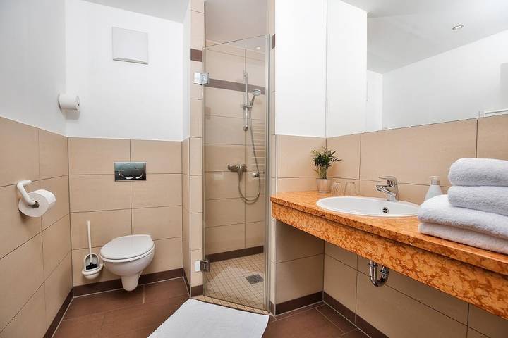Berghotel Mooshütte - Standardzimmer Schwalbennest in Lohberg, Arberland