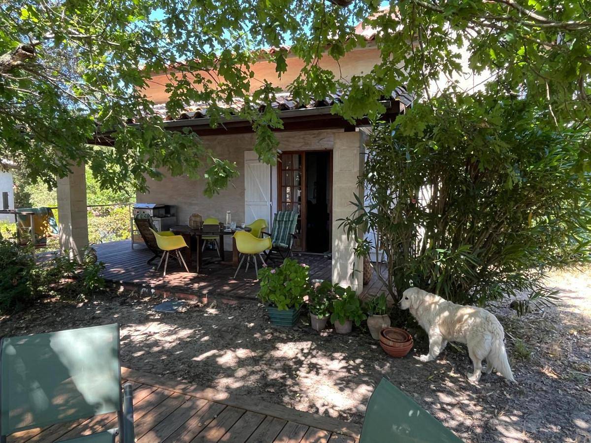 Maison Albatros in Pyla Plage, La Teste-de-Buch