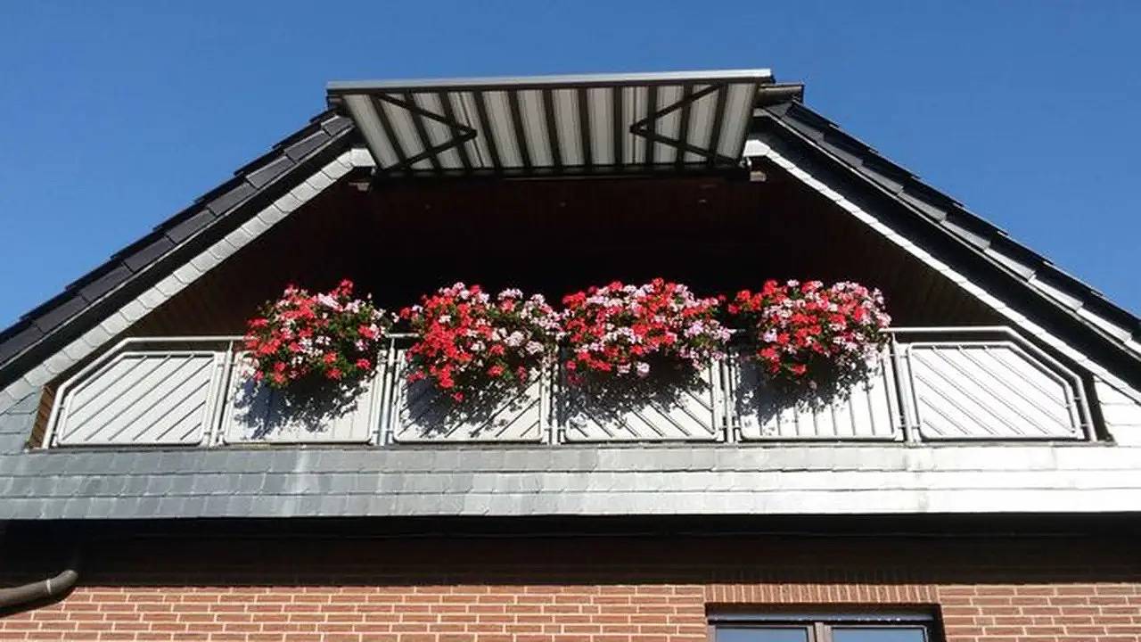 Ganze Ferienwohnung, Ferienwohnung für 3 Personen (50 m²) in Hagenburg in Hagenburg, Landkreis Schaumburg