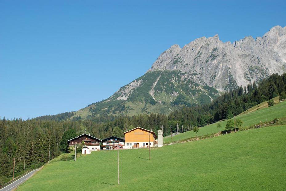 Ferienbauernhof Elmaugut in Hochkönigstock, Mühlbach am Hochkönig