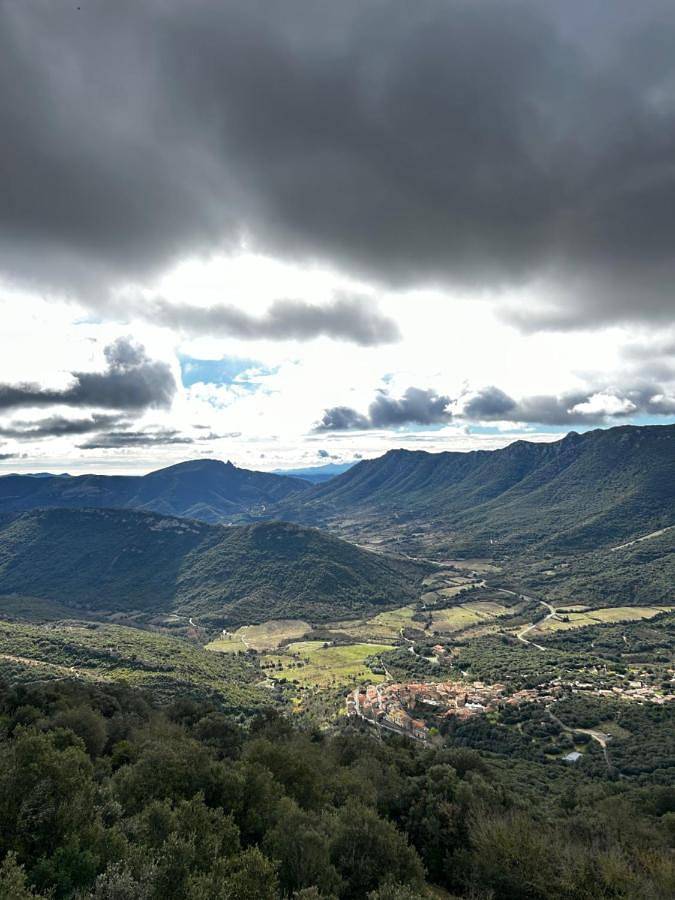 Location de vacances pour 4 personnes, avec jardin et vue, animaux acceptés à Duilhac-sous-Peyrepertuse - 2