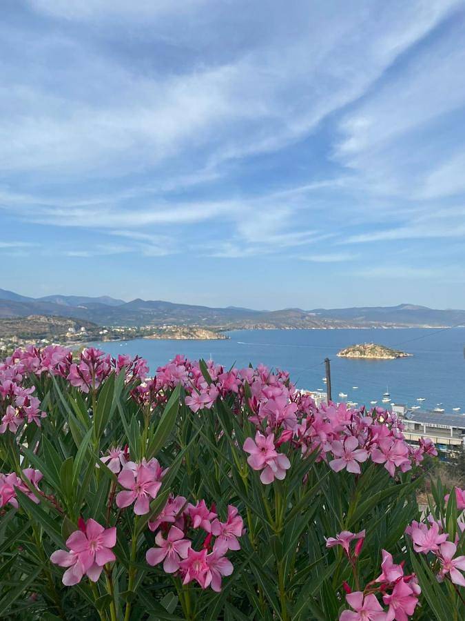 Daphne Bungalows in Tolo (Grèce), Argolide