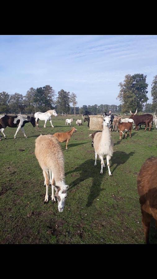Vacations for a good cause in Drochtersen, Cuxland