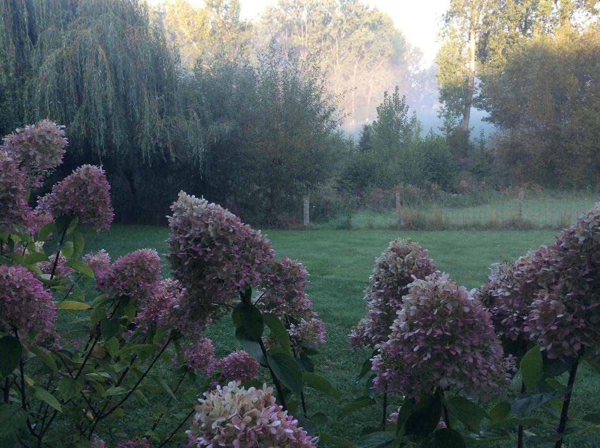 Double Room with Private Bathroom in Zottegem, Province de Flandre-Orientale