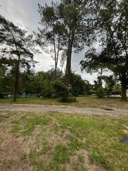 Gîte pour 4 personnes, avec jardin à Cestas - 4