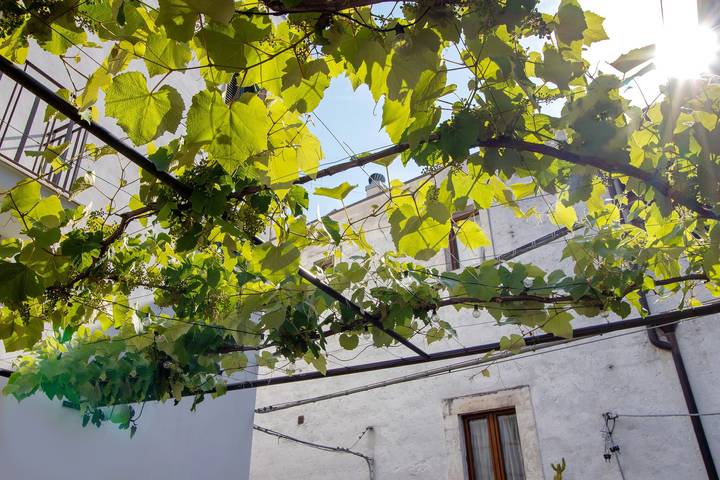 Entire apartment, Apartment 'Unità Due' with Shared Terrace, Wi-Fi, and Air Conditioning in Rutigliano, Bari Province