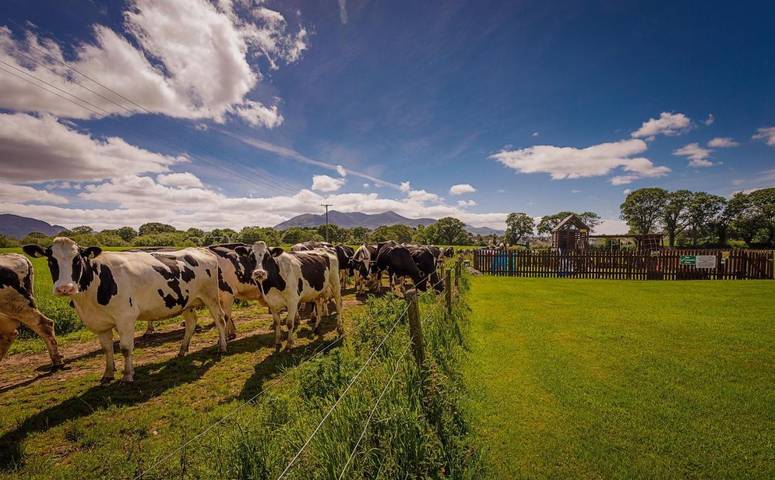 Gîte pour 5 personnes, avec vue et jardin à Killarney - 4
