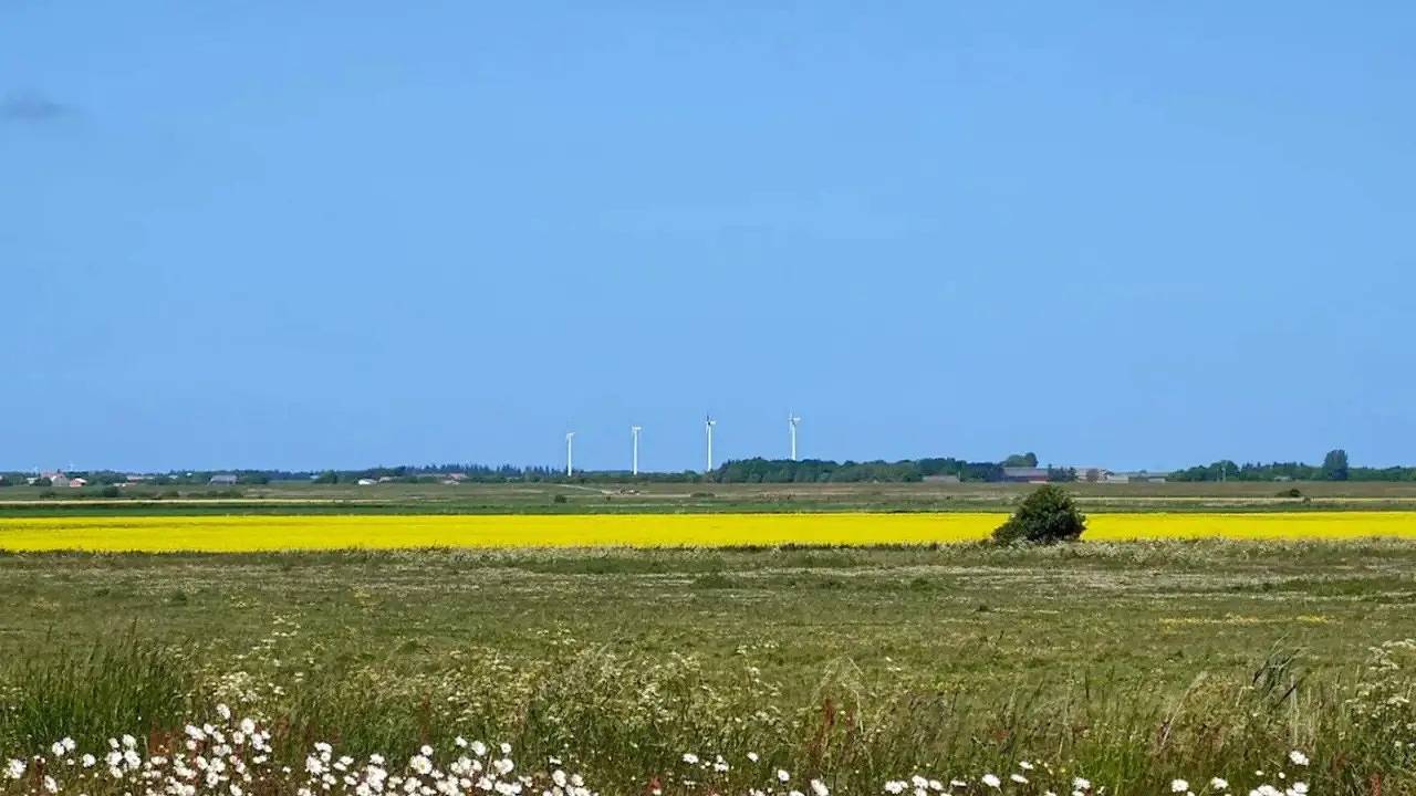 Ferienhaus für 4 Personen (75 m²) in Markhäuser in Højer, Tondern und Umgebung