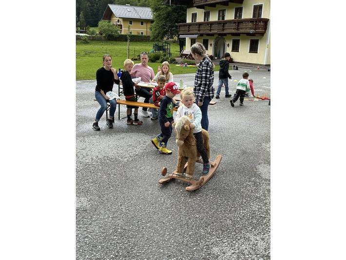 Almgut Farm || Faistenau in Faistenau, Bezirk Salzburg-Umgebung