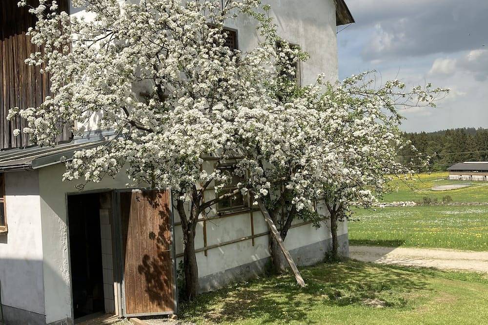 Traditioneller Vierkanthof  In ruhiger naturverbundener Lage mit top Atmosphäre! in Liebenau, Mühlviertel