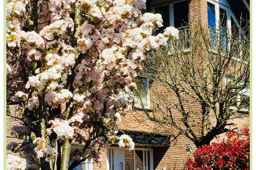 Ganze Wohnung, Top-Ferienwohnung Raesfeld, Schlossnähe, zentral in Raesfeld, Naturpark Hohe Mark - Westmünsterland