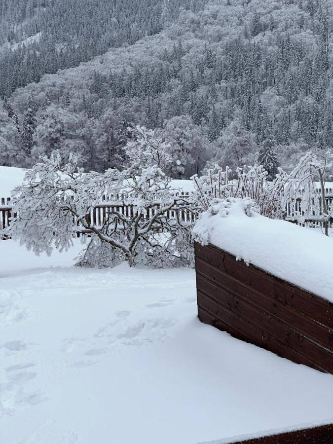Ganze Wohnung, Ferienwohnung Gabelbachskopf in Gehlberg, Rennsteig
