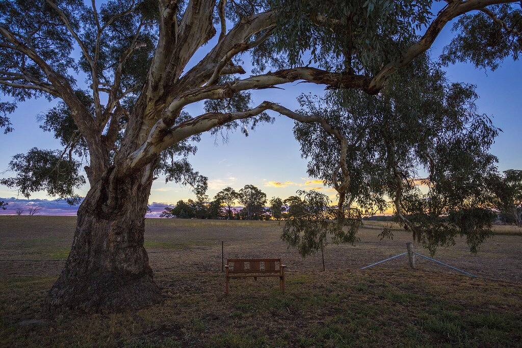 \"Gindanha\" - Landausflug in New South Wales