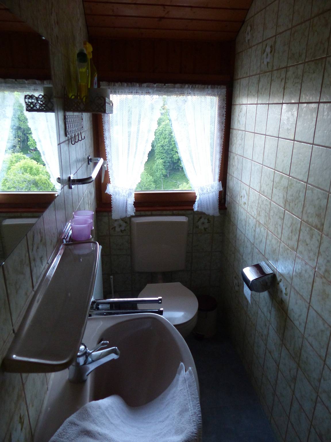 Ganze Ferienwohnung, Ferienhaus Rombach Wohnung A in Wieden, Südschwarzwald