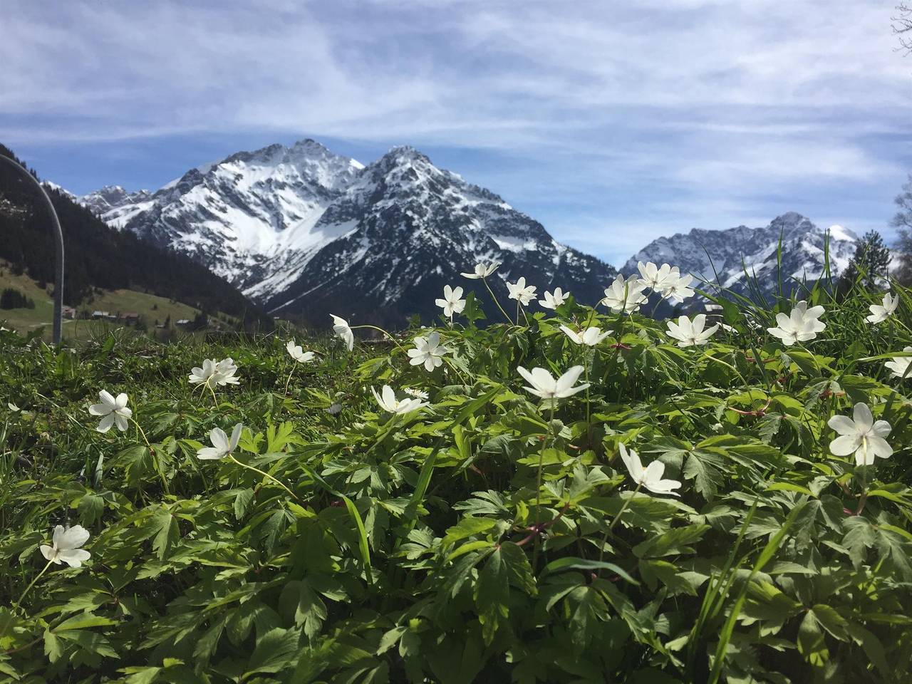 Appartement de vacances entier, Appartement/Bad/Wc, 1 Schlafraum "Widderstein" in Riezlern, Mittelberg