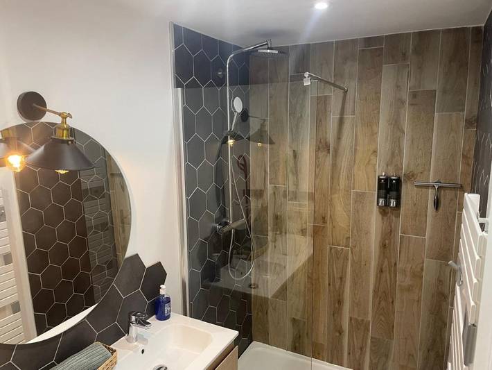 Gîte pour 8 personnes, avec balcon et vue à Saint-Julien-Mont-Denis - 4