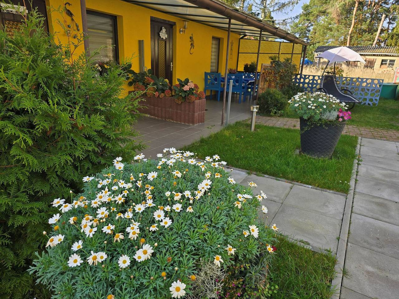 Ganze Ferienwohnung, Kleiner Bungalow  Wiesenperle - Kleiner Bungalow Wiesenperle in Karlshagen, Usedomer Norden